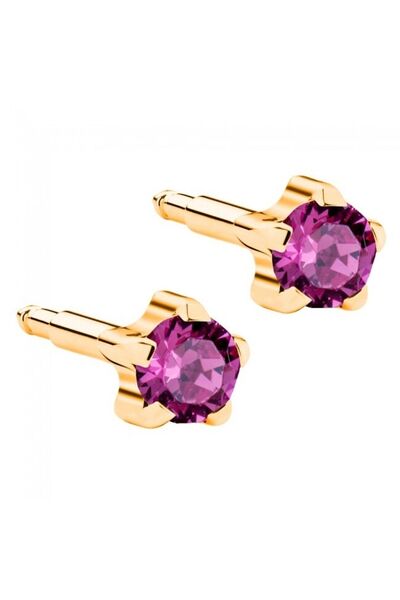 nina Nur Dükkanı Steril Kulak Delme Küpesi Gold Mor Taş