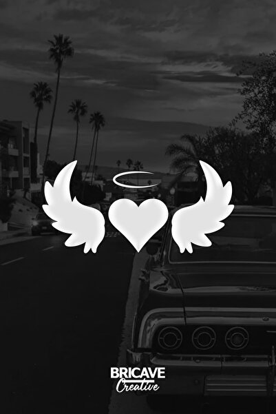 Bricave Kalpli Kanat Araba Motosiklet Cam Etiket Sticker 24x11cm