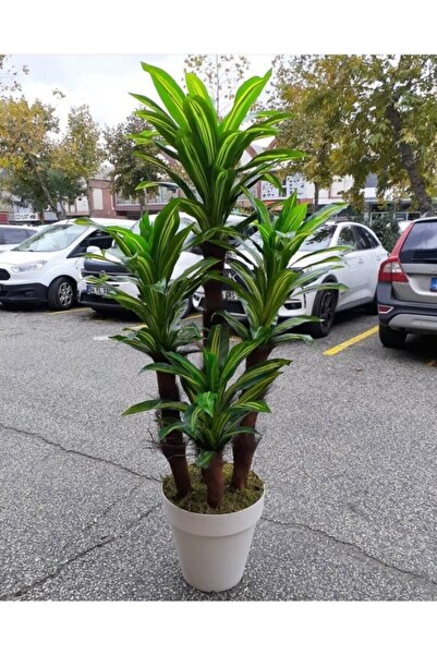 SERİNOVA Yalı Saksı 46lt Beyaz