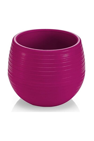 SERİNOVA Elvan Kaktüs Saksı 0,13 Litre Sukulent Saksısı Vişne