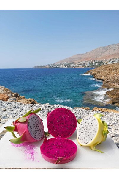 Becos Pitahaya (ejder Meyvesi) 1 Kg Aydıncık/mersin
