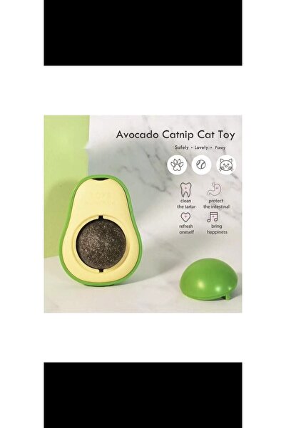 Avakado Catnip Kedi Yalama Taşı
