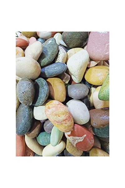 SİDE 2 Kg Çok Amaçlı Dekoratif Büyük Çakıl Taşı, Doğal Deniz Taşı Side koylar...