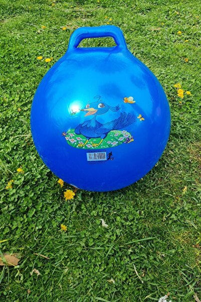 Genel Markalar Zıp Zıp Kanguru Zıplama Plates Topu Çocuk Plates Topu 100 Cm Çap 40 Cm Yüksek