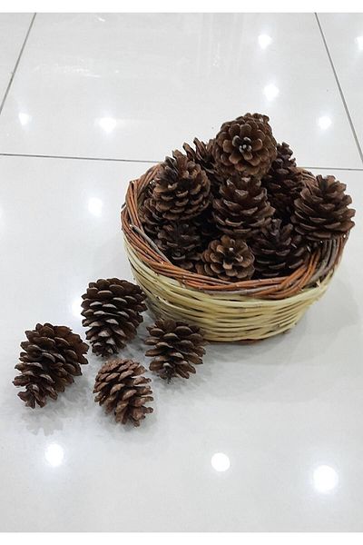 Söylemezavm 10 Pieces Natural Pine Cone Decorative Cone