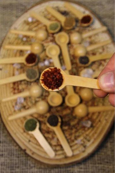 Atbyhome 6 Pieces Bamboo Scale Spoons - Spice Spoons