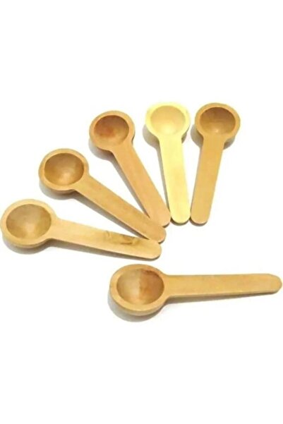 Atbyhome 6 Pieces Bamboo Scale Spoons - Spice Spoons