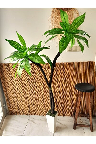 YEŞİLADA Yapay Yuka Yucca Ağacı Canlı Doku Çift Gövde 1.60 Mt Boy Kılıç Ağacı...