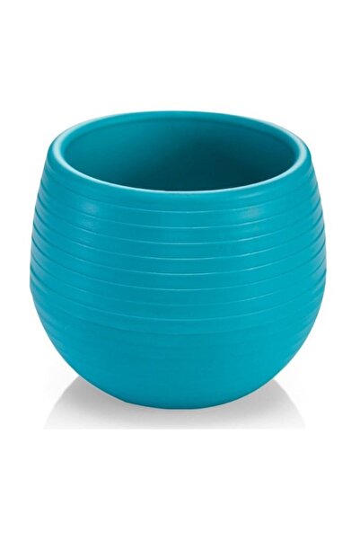 SERİNOVA Elvan Kaktüs Saksı 0,13 Litre Sukulent Saksısı Karışık Renk