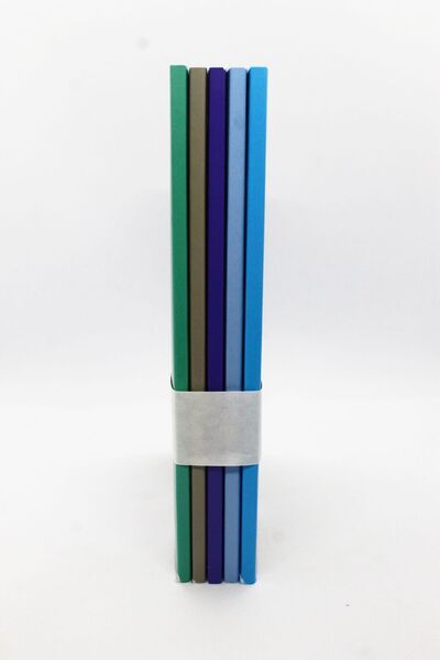 YAPAY ZEKA SANAT World Cats Notebooks 5 Pieces '13x19' High Quality Cover 96 Pages Unlined 9-1