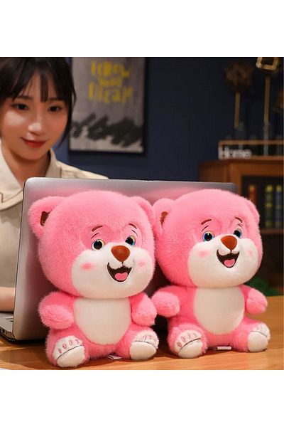 Princess Bear Cute Teddy Bear