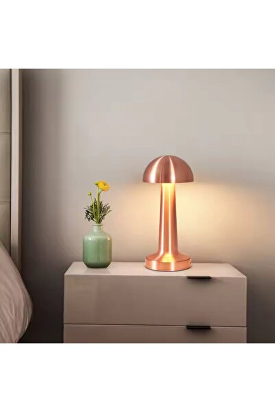 N&D Lighting Forlife Sakarya Dokunmatik Şarjlı Dekoratif Led Masa Lambası