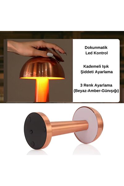 N&D Lighting Forlife Sakarya Dokunmatik Şarjlı Dekoratif Led Masa Lambası