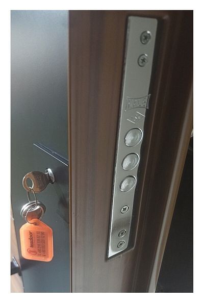 Tezdoor Rustic Striped Nail Straight Model Steel Door - Left