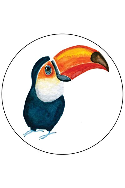 MUCA أغو باتش - طائر الطوقان جاي