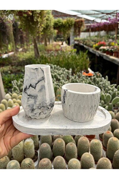 BAYRAKTAR PEYZAJ Hediyelik Dekoratif 3'lü Beton Saksı Seti