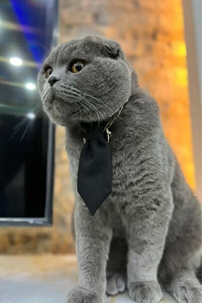 Minikpaw aksesuar Kravat