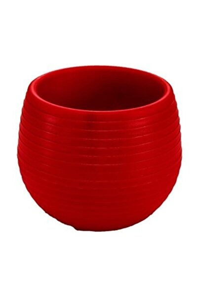 SERİNOVA Small Size No 3 Cactus Elvan Pot 0.13Liter