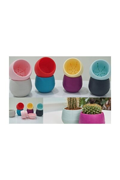 SERİNOVA 10 Adet Elvan Kaktüs Ve Sukulent Saksısı - 0,13 Litre