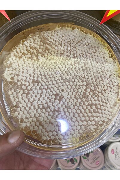 YAZAR Rize kara kovan petek bal