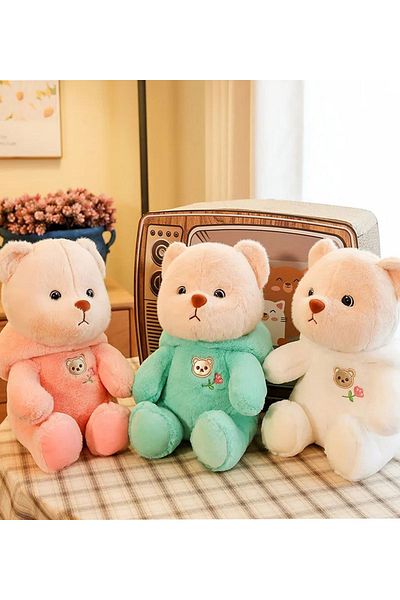 Princess Bear Domozcuk Hooded Pufi