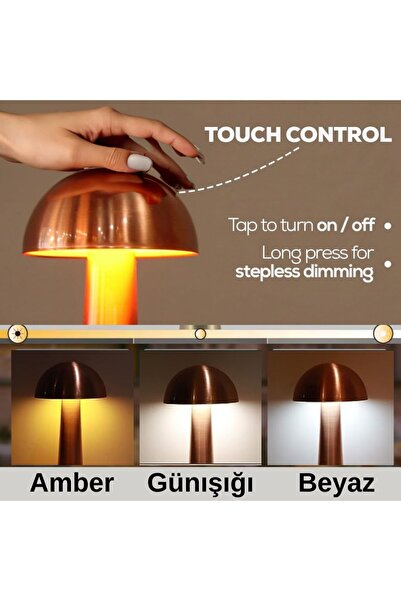 N&D Lighting Forlife Sakarya Dokunmatik Şarjlı Dekoratif Led Masa Lambası