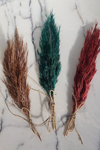 ioadesign Engagement / Promise Tray Flower, Ornament - Red Shocked Small Size Pampas