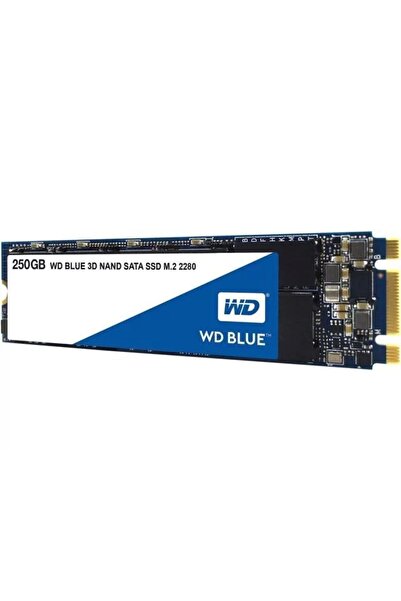 WD Hard disk S250g2b0b, 250 GB, albastru, M.2 SATA, 550 Mbps - 525 Mbps