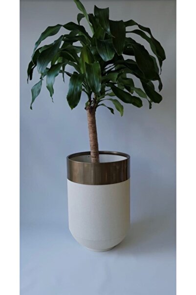 Genel Markalar Metal Darbuka Saksı 70 Cm Yükseklik Gold Eskitme Boya