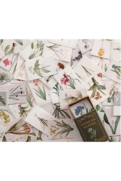 SF SCRAPBOOK KIRTASİYE Vintage 100 Adet Kutulu Books / Journal / Scrapbook / ...