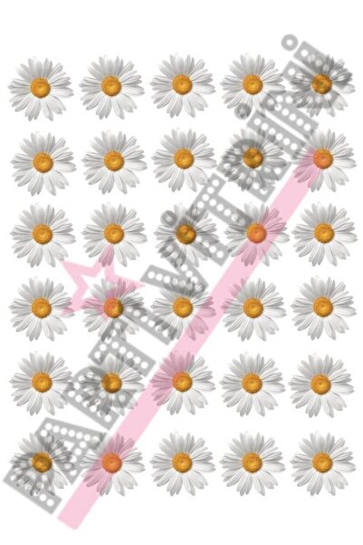 Partivitrini Beyaz Papatya Temalı Yenilebilir Resimli Pasta Kurabiye Üstü Şeker Kağıt Baskısı