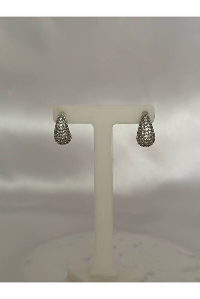 lysiaaccessory Zircon Stone Mini Steel Drop Earrings