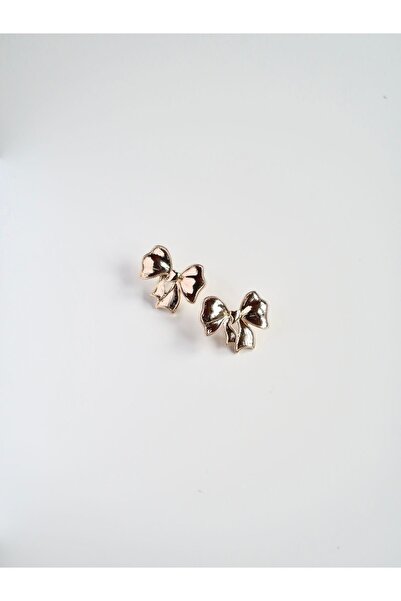 Roosvel Kurdele / Fiyonk Pinterest Çelik Küpe