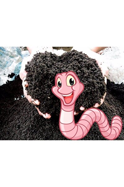 slc solucan PATLICAN,BİBER,ÇİLEK,SALATALIK Fide için KATI SOLUCAN Gübresi (1 LT)