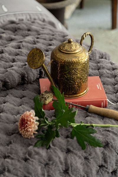 Apricitas HOME طقم غطاء لحاف مزدوج من Silverfox مفرش سرير