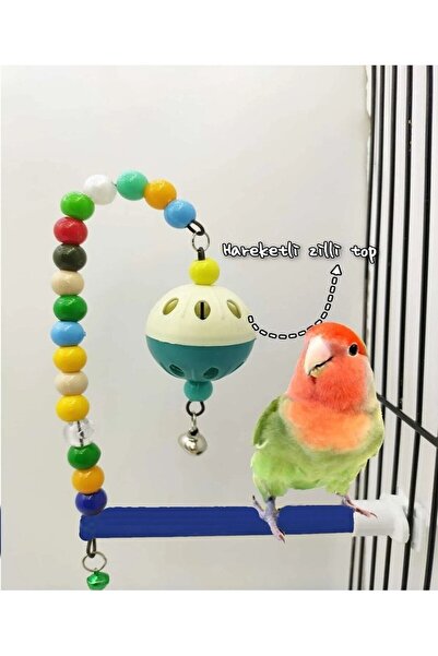 AlyaPetWorld Muhabbet Kuşu Sultan Papağanı Forpus Muhabbet Kuşu Tünekli Zilli...