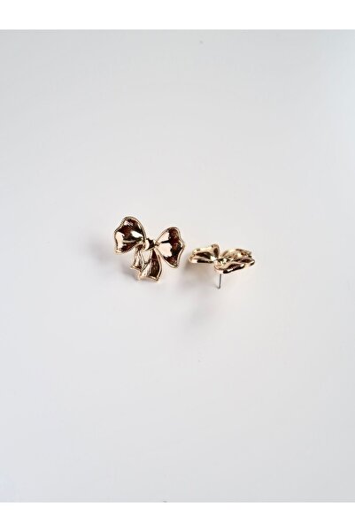 Roosvel Kurdele / Fiyonk Pinterest Çelik Küpe