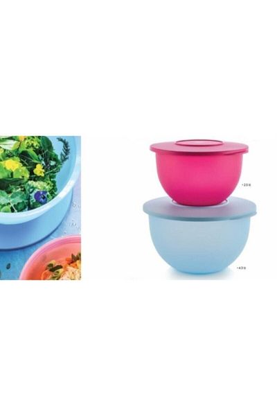Tupperware Eco Storage Container 2.5lt-4.3lt Pink Blue