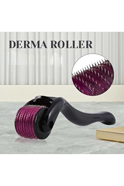 ASL Saç sakal çıkartıcı titanyum uçlu magnum iğne Derma Roller System 0.5 Mm.