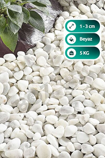 Bozsan Beyaz Dolomit Taş 5 Kg 1-3cm Dolomit Taşı Bahçe Süs Akvaryum Taşı Dere...
