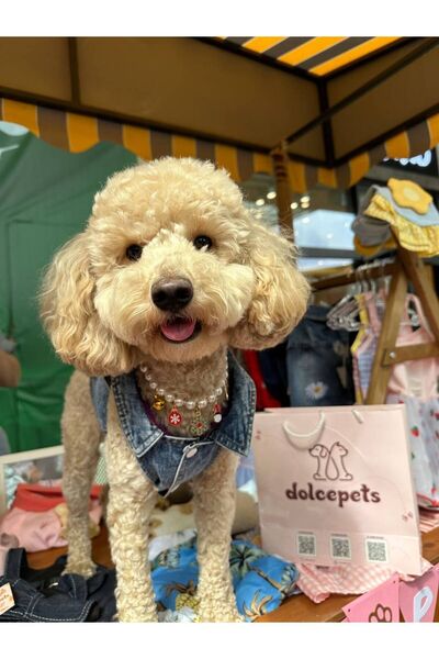 Dolce Pets Kedi Köpek Kıyafeti Papatyalı Köpek Kot Ceket