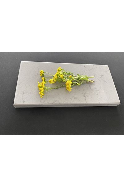 QUARTZ Calisco Tornado Presentation Table 12x25x2 Cm Plate Gray Presentation