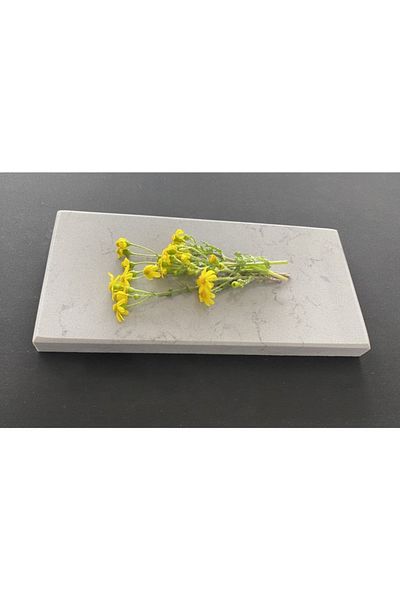 QUARTZ Calisco Tornado Presentation Table 12x25x2 Cm Plate Gray Presentation