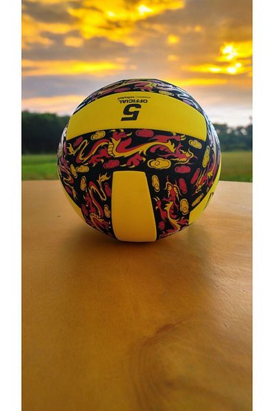 GENELEC Volleyball Ball No. 5- Compatible with All Weather