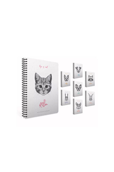 Gıpta GIPTA LIFE IS COOL - 19x26 120 YP тетрадка с линии и спирала KPK 4682