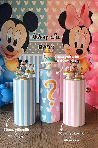 Partimugi Cinsiyet Partisi Girl and Boy Strafor Köpük Silindir 3'lü Matruşka Set