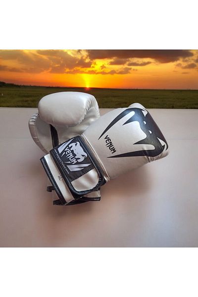 Venum Gloves