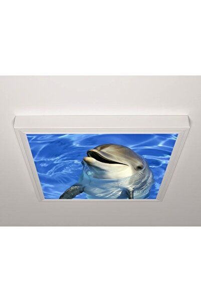 Gök Panel 60X60 LED Panel Aydınlatma Armatür Avize Sıva Üstü Desenli Tekli 46511102SU