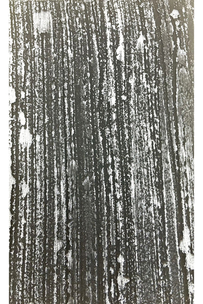 Nippon Paint özel efekt doku malası