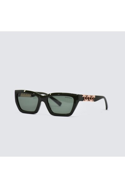 Tiffany&Co &Co.. Tf4213 839882 54 Women's Sunglasses